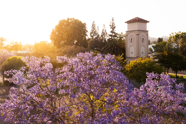 California La Habra 600X400